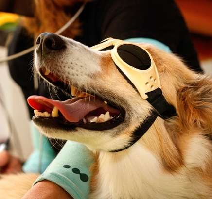 Laser Therapy